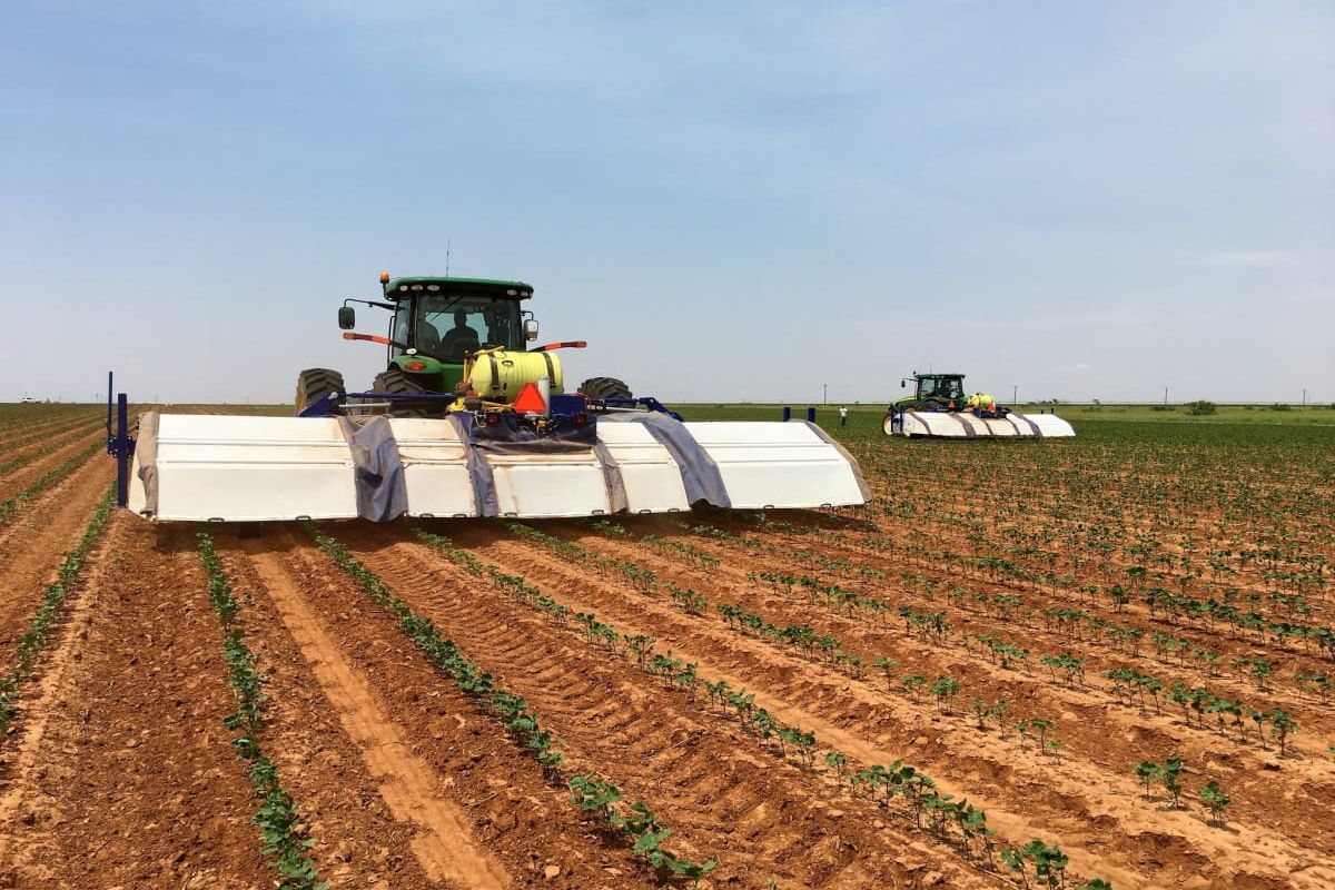Inteligjenca artificiale ne Agrikulture